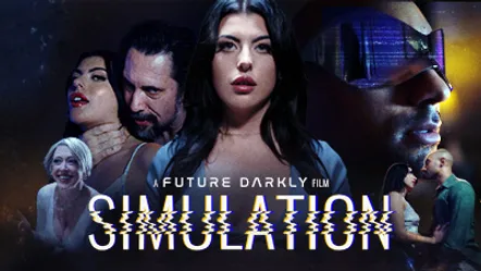 Simulation