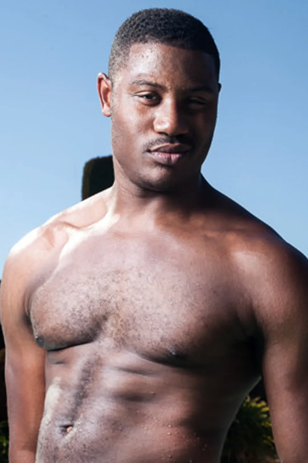 Adonis Couverture