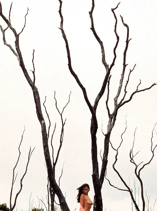 Image Playmate of the Month April 1976 - Denise Michele Image Playmate of the Month April 1976 - Denise Michele