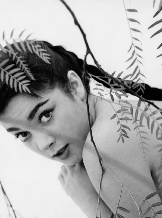 Image Playmate of the Month February 1958 - Cheryl Kubert