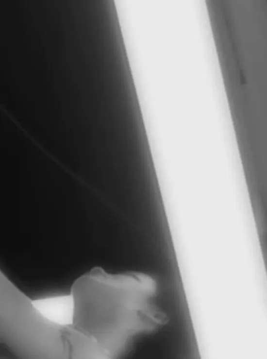 Image Kama Sutra - Thai Me Up Image Kama Sutra - Thai Me Up