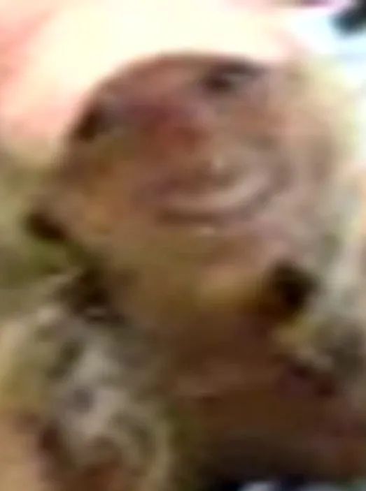 Image Sex Cells - Cassandra & Caitlin Jenk Part 2 Image Sex Cells - Cassandra & Caitlin Jenk Part 2