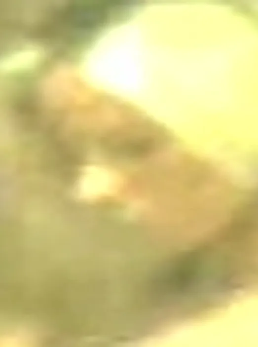 Image Sex Cells - Cassandra & Caitlin Jenk Part 4 Image Sex Cells - Cassandra & Caitlin Jenk Part 4