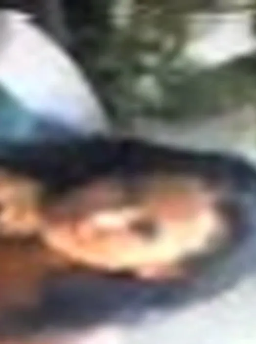 Image Sex Cells - Jennifer Korbin & Rochelle Loewen Part 1