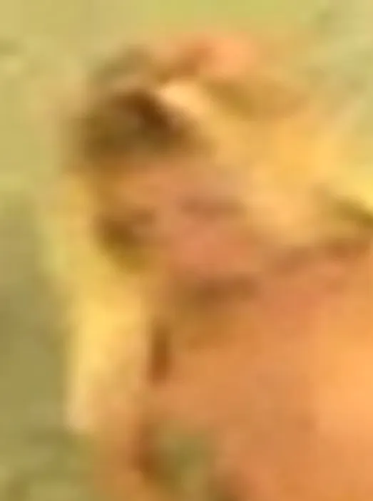 Image Sex Cells - Jurgita Valts & Victoria Stevens Part 2