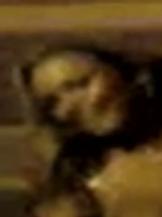 Image Sex Cells - Jurgita Valts & Victoria Stevens Part 3