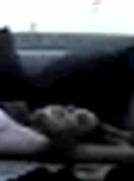 Image Sex Cells - Megan Elizabeth & Sheena Lee Part 1