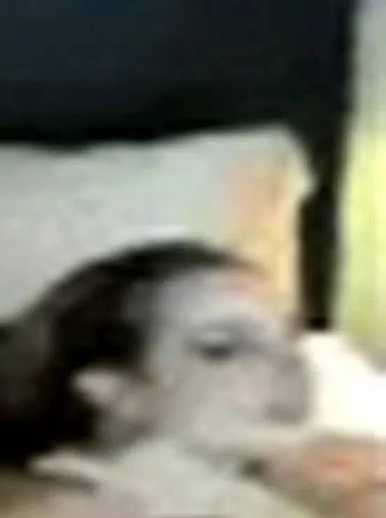 Image Sex Cells - Megan Elizabeth & Sheena Lee Part 2