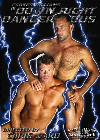 Down Right Dangerous