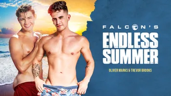 Falcon's Endless Summer