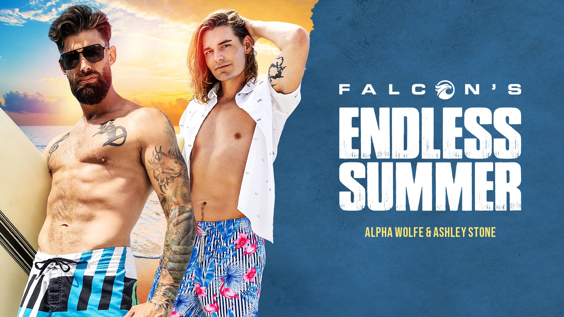 Falcon's Endless Summer