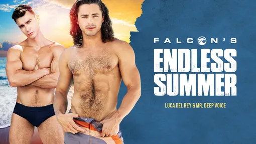 Falcon's Endless Summer