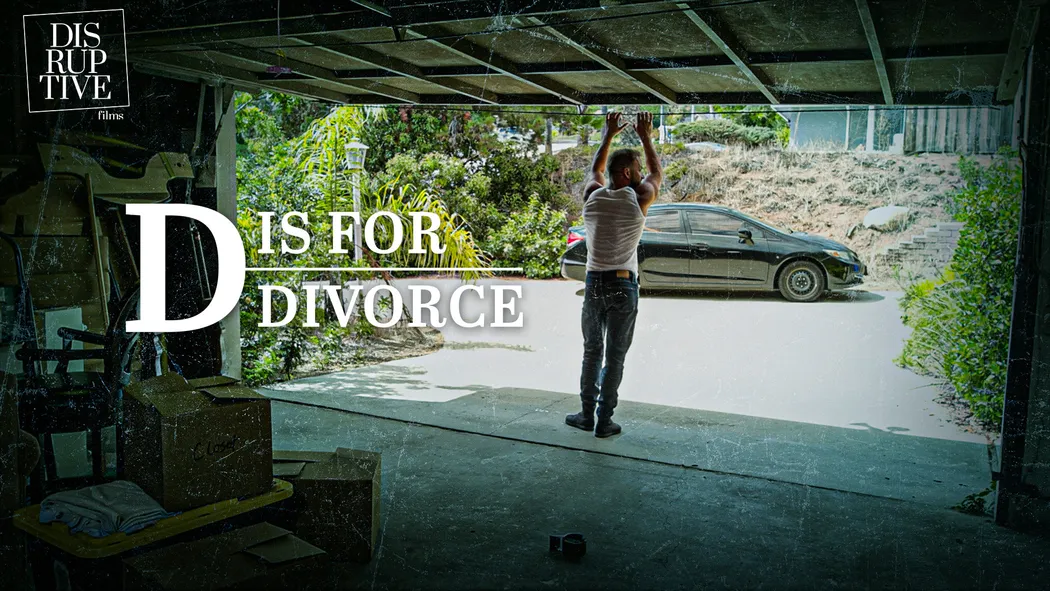 D Is For Divorce D Is For Divorce
