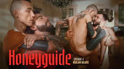 Honeyguide: Clean Slate