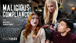 Malicious Compliance