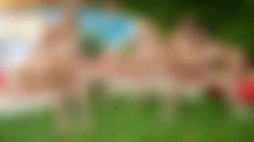 All You Can Eat 3 - Scene 2 All You Can Eat 3 - Scene 2