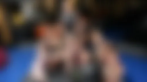 REBEL RHYDER, 6 GFs & 94 Amateur Studs REBEL RHYDER, 6 GFs & 94 Amateur Studs