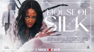 House of Silk