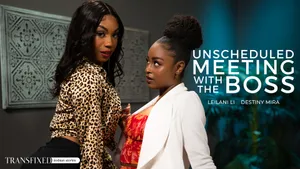 Unscheduled Meeting With The Boss