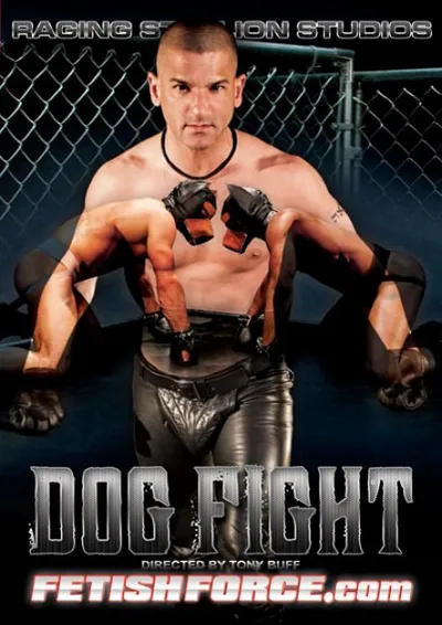 Dog Fight Dog Fight