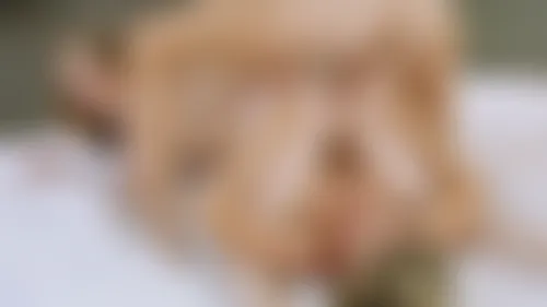 Perfect Fit Perfect Fit