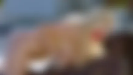 Hot Wife Vacation 2 Hot Wife Vacation 2