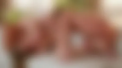 The Wrong Word The Wrong Word