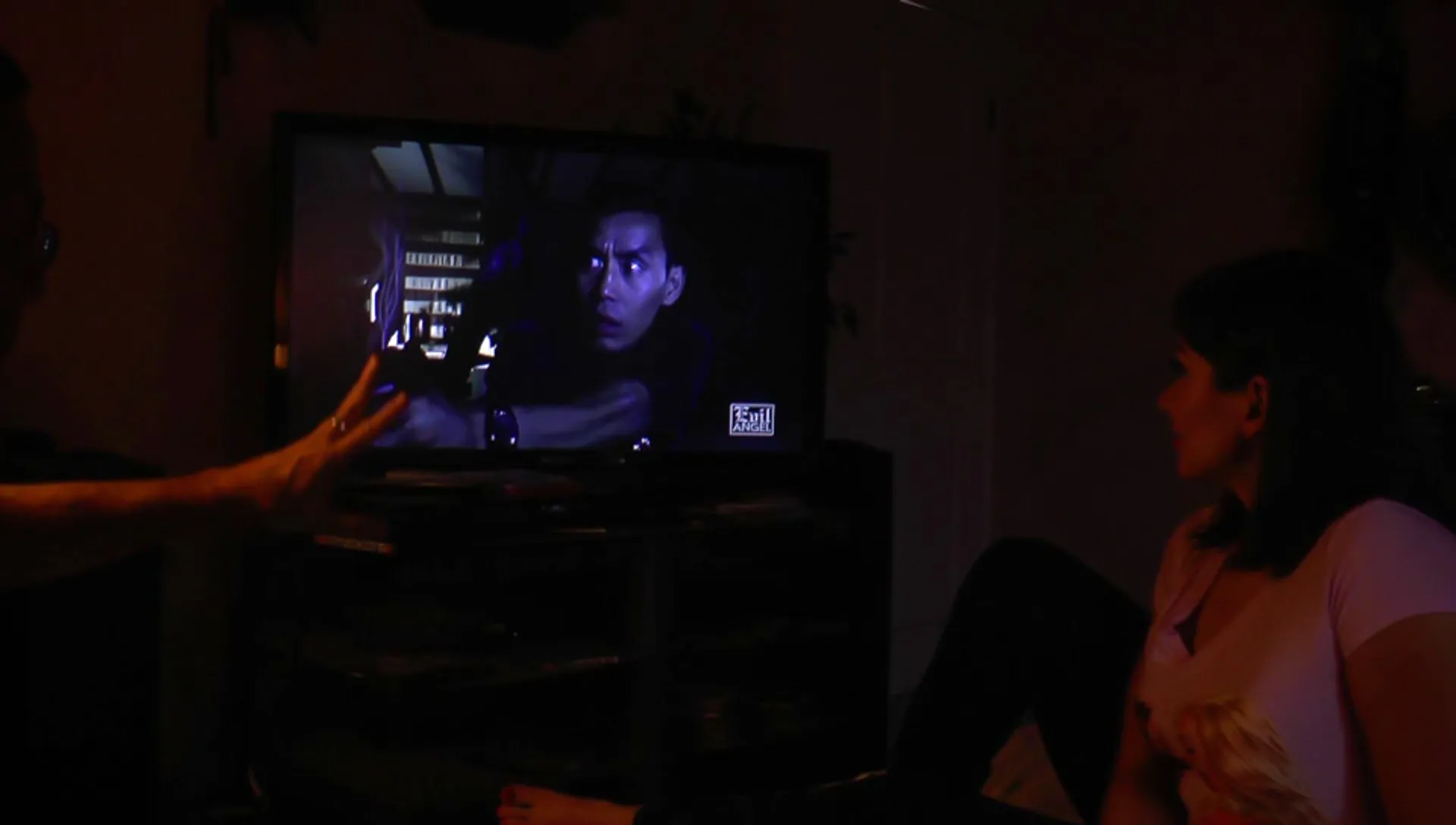 John Stagliano's Commentaries