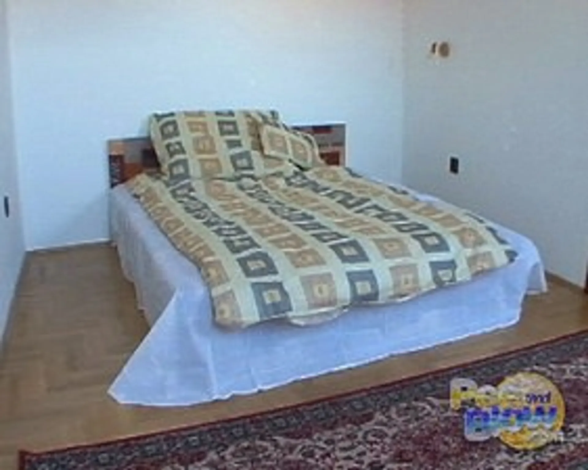 Special Zoli-casting