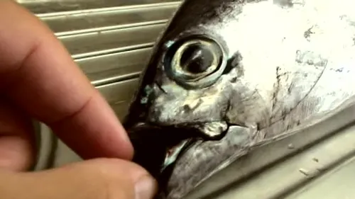 Holiday backstage - part 3.