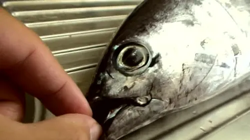 Holiday backstage - part 6.