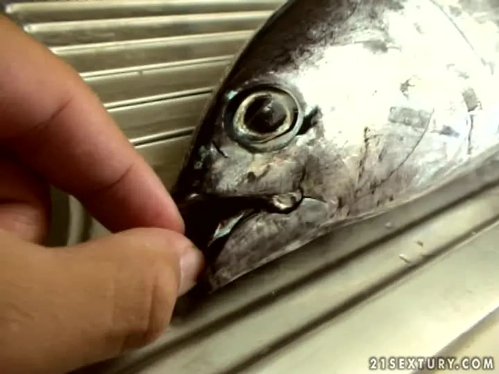 Holiday backstage - part 6.