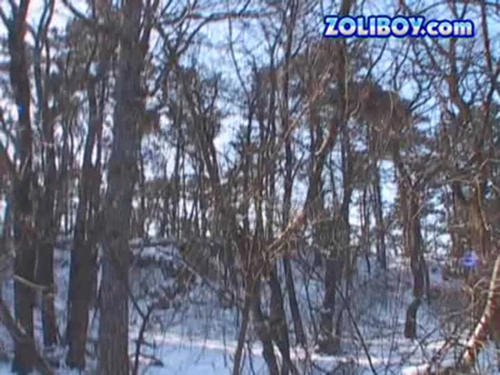 Outdoors with Electra