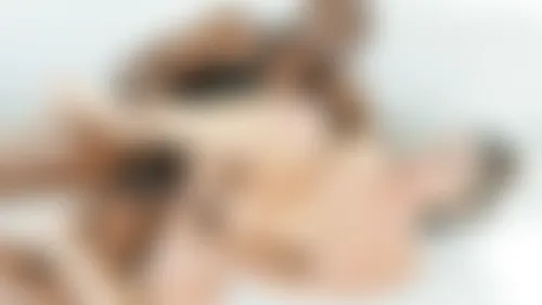 Shades Of Grey Shades Of Grey