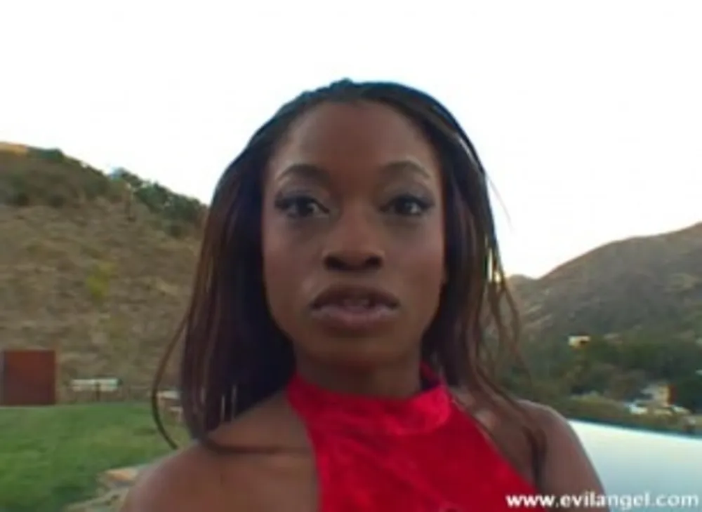 The Pussy Is Not Enough 2