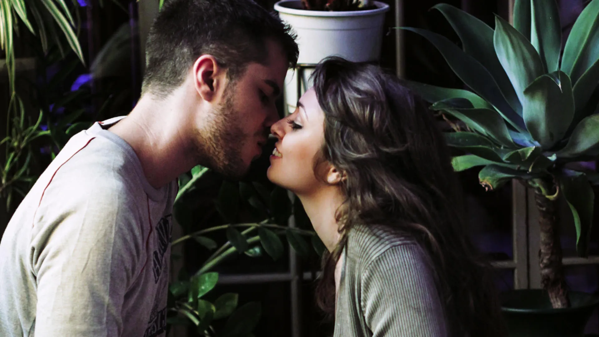 Titty Titty Bang Bang