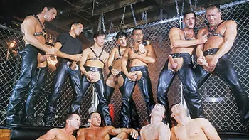 Sting: A Taste For Leather