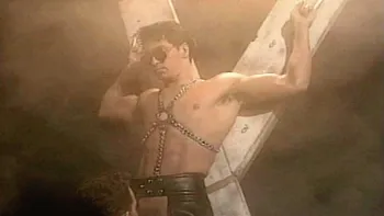 Shadows In The Night