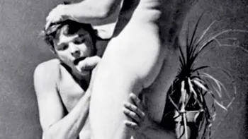 Pool Party Pool Party