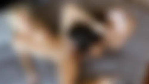 You Deserve Better You Deserve Better