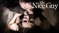 Mr. Nice Guy
