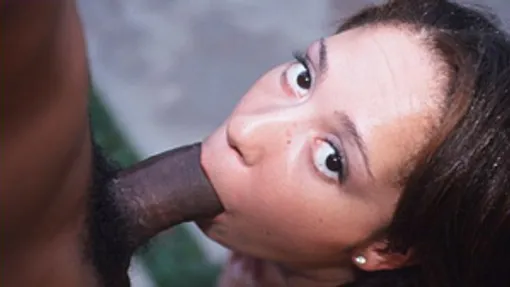 Mr. Marcus' Neighborhood #7 - Part 2