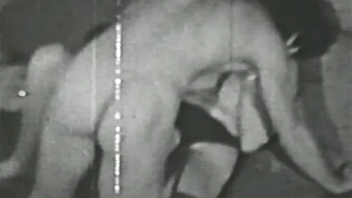 Vintage blowjob and pussy licking