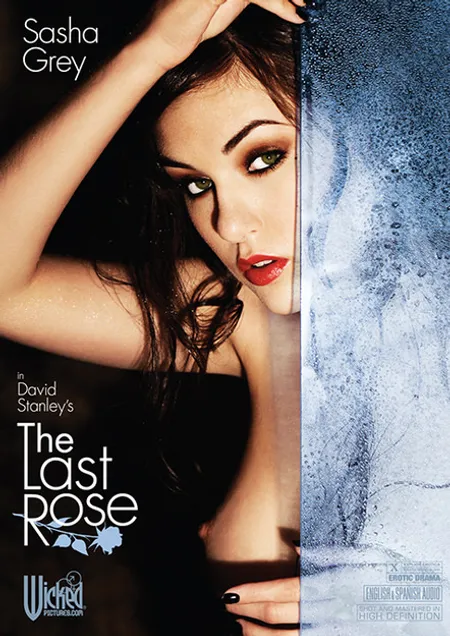 The Last Rose The Last Rose