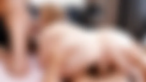 Sara Jay School Teacher Sara Jay School Teacher