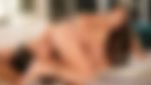 Movie Night Movie Night