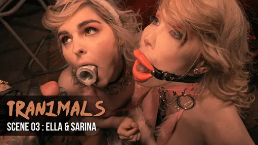 TS Ella + TS Sarina + Stud = Threesome 