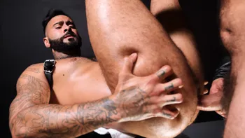 Harnessed, Hairy And Hard Fuckers