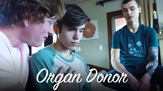 Organ Donor
