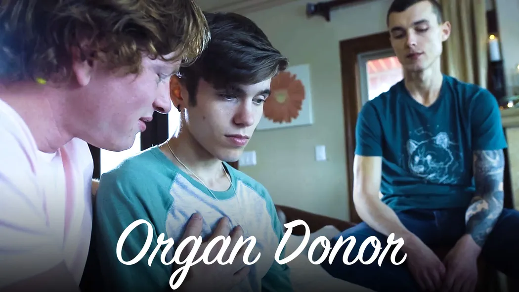 Organ Donor Organ Donor